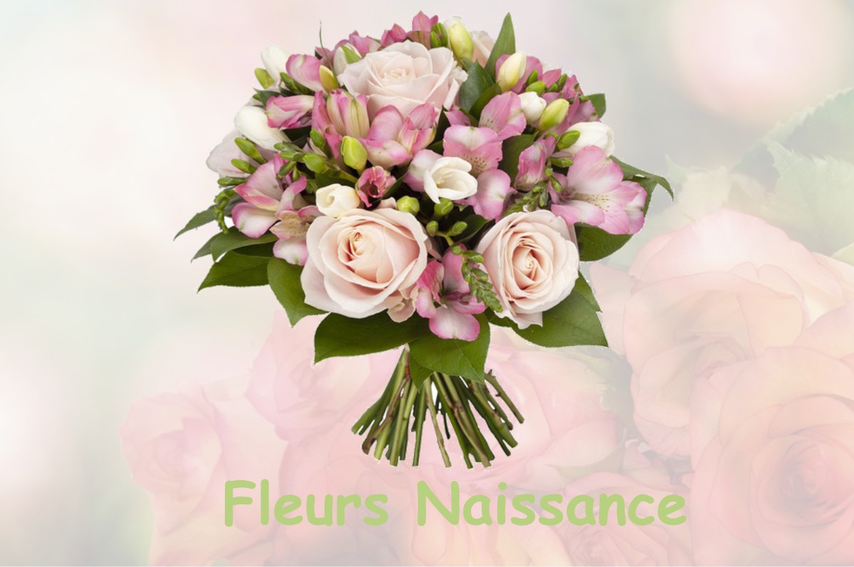 fleurs naissance TASSENIERES