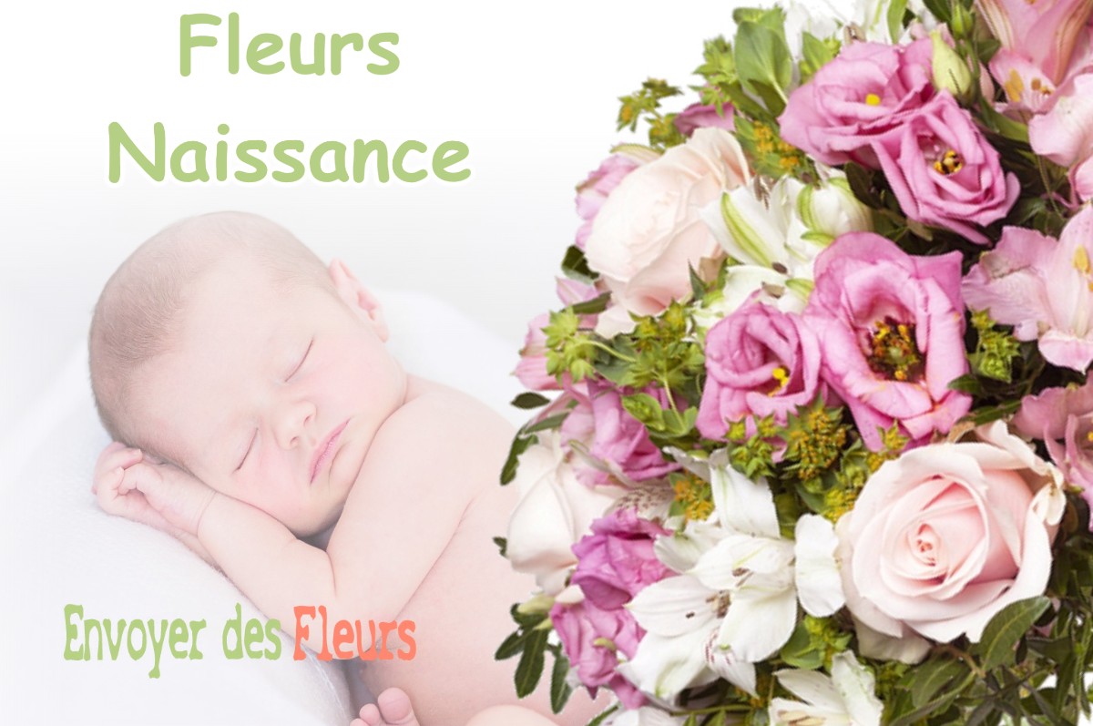 lIVRAISON FLEURS NAISSANCE à TASSENIERES